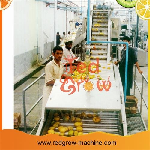 Mango Pulp Processing Machine