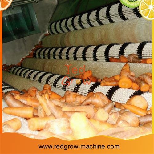 Carrot Processing Machine