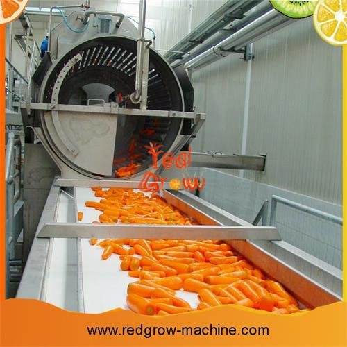Carrots Washing Machine