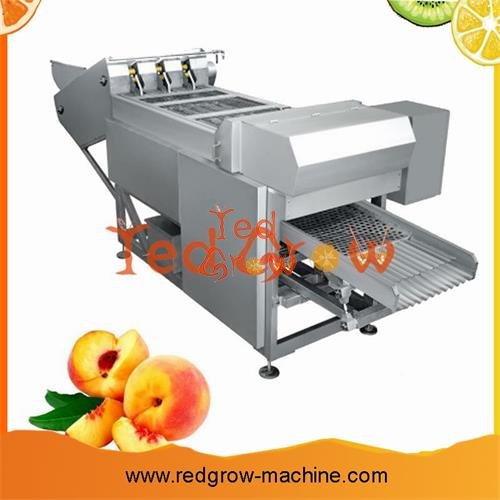 Peach Apricot Plum Fruit Processing Machine