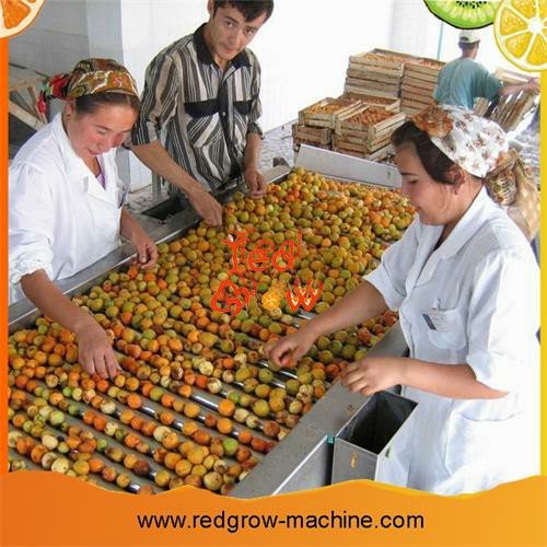 Roller Fruit Sorting Machine
