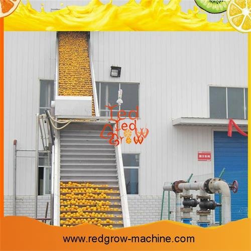 Orange Processing Machine
