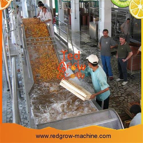 Mango Fruit Surf Washer Machine